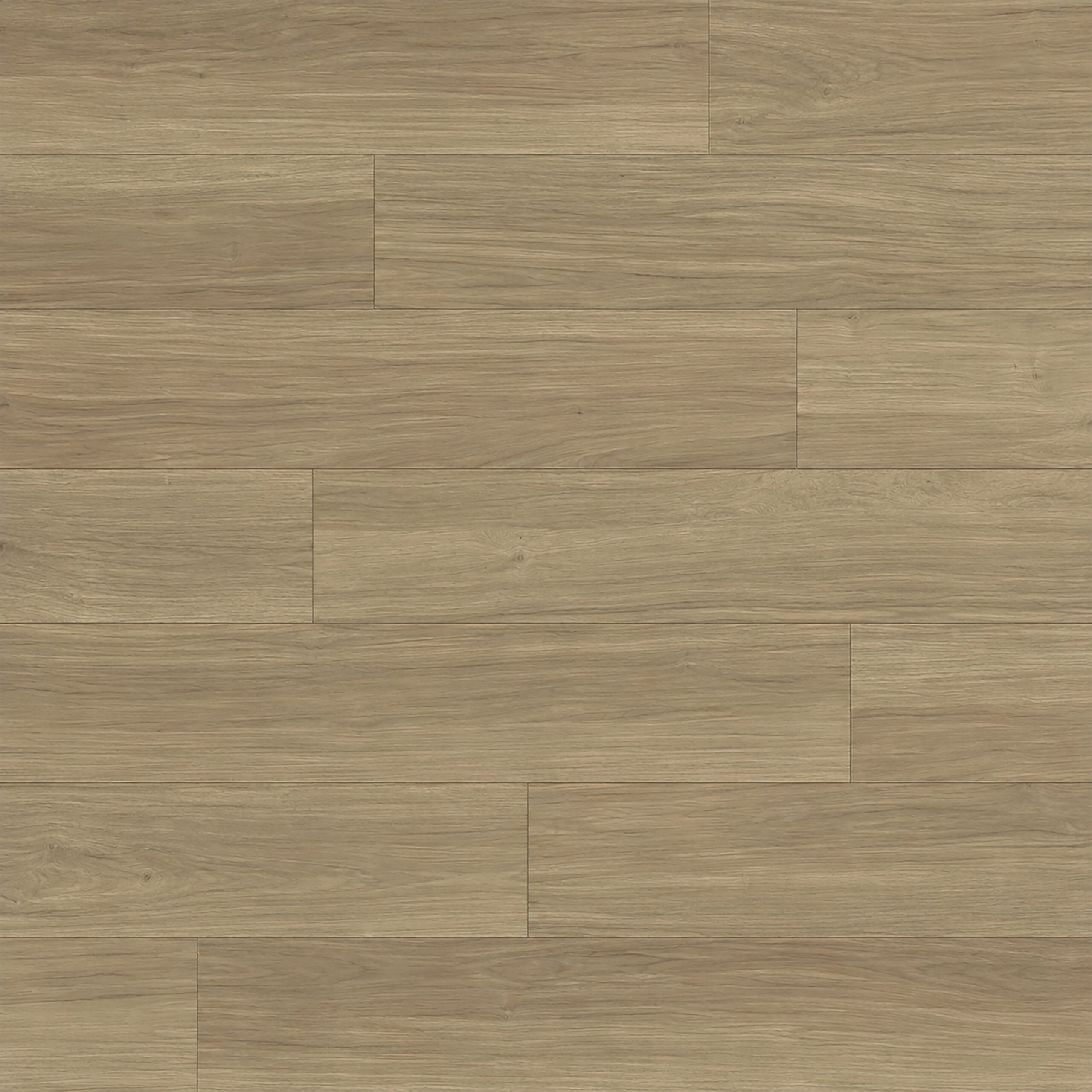 sahara textura