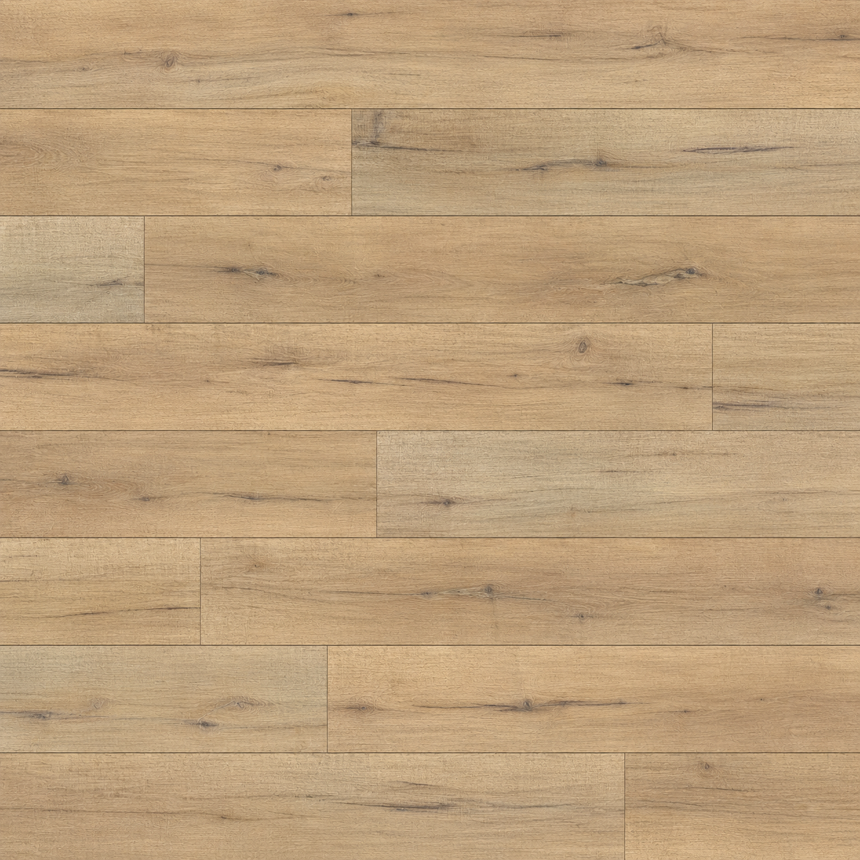 HOUSE TEXTURA