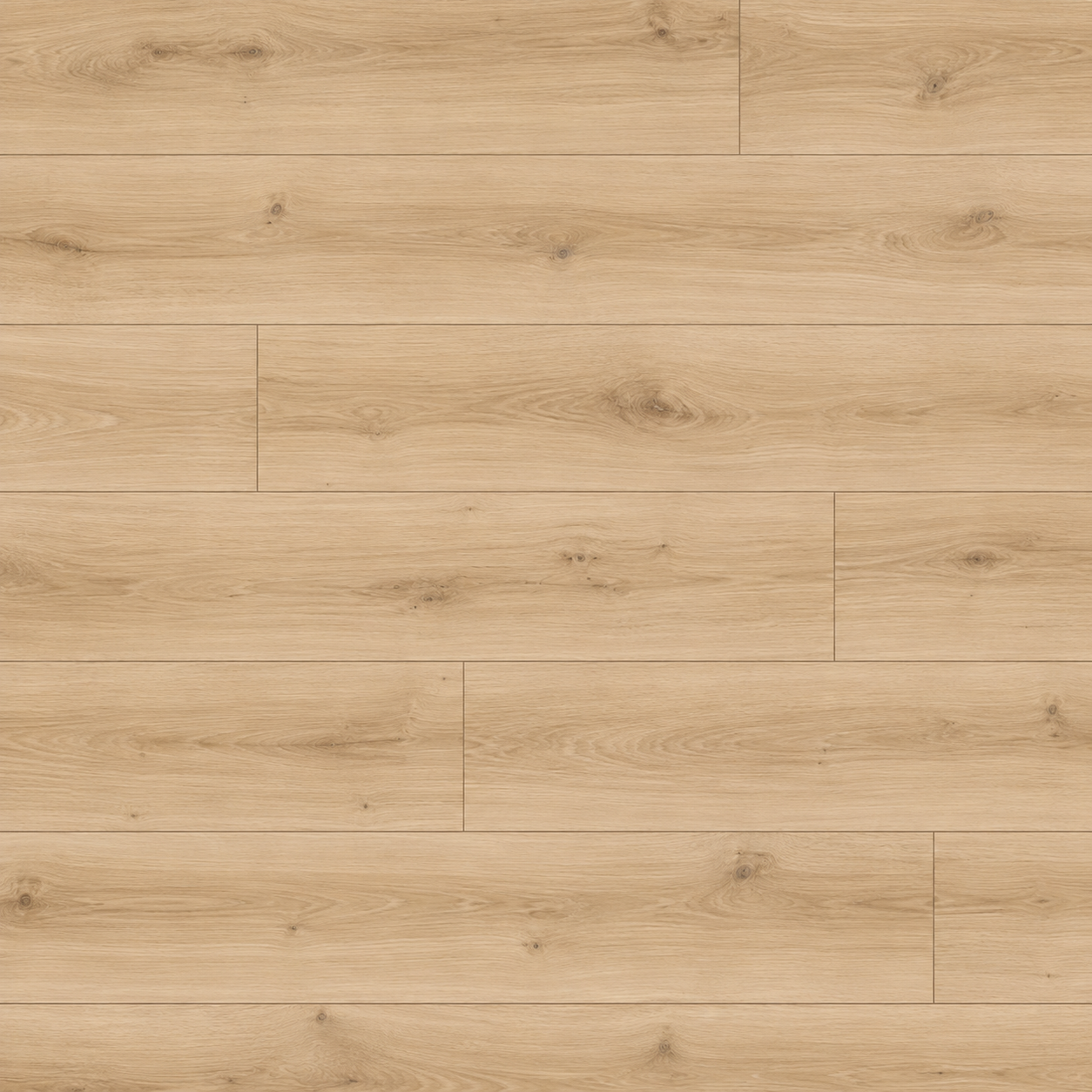 natural birch