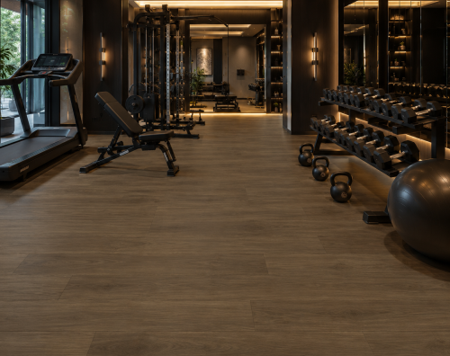 gym terra natural