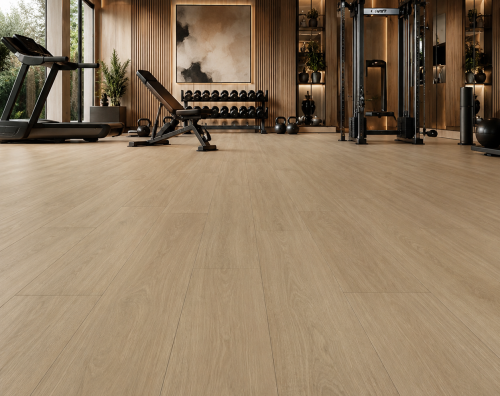 sahara gym